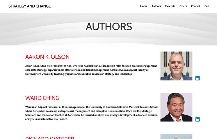 Strategy and Change website (strategyandchange.net)