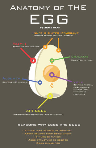 Info Poster for Class